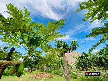 北外環寬約４２米都內農地