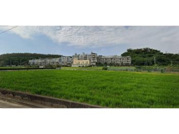 稀有釋出前庭後院花園透天