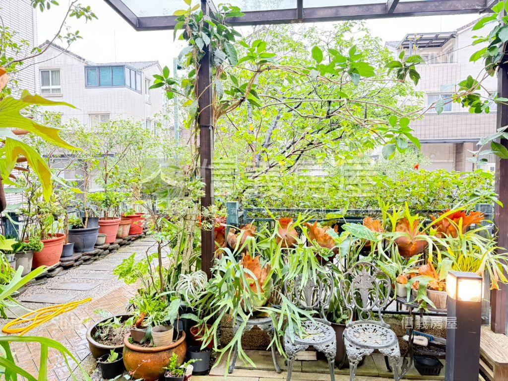 青山鎮門口大空間房屋室內格局與周邊環境