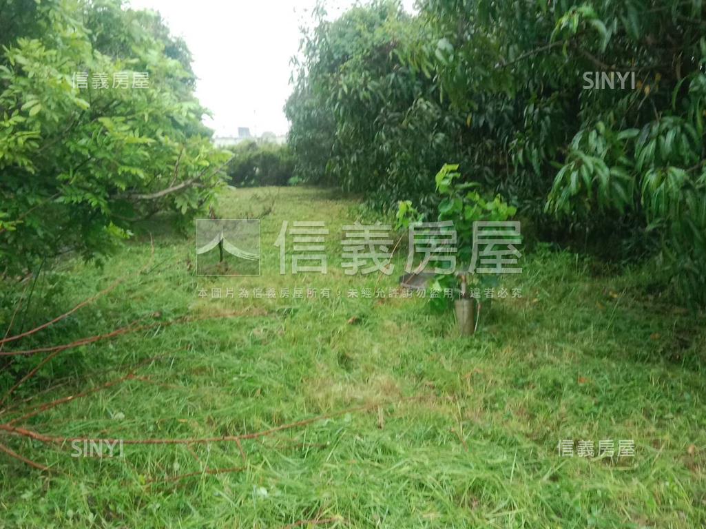 大村農牧用地房屋室內格局與周邊環境