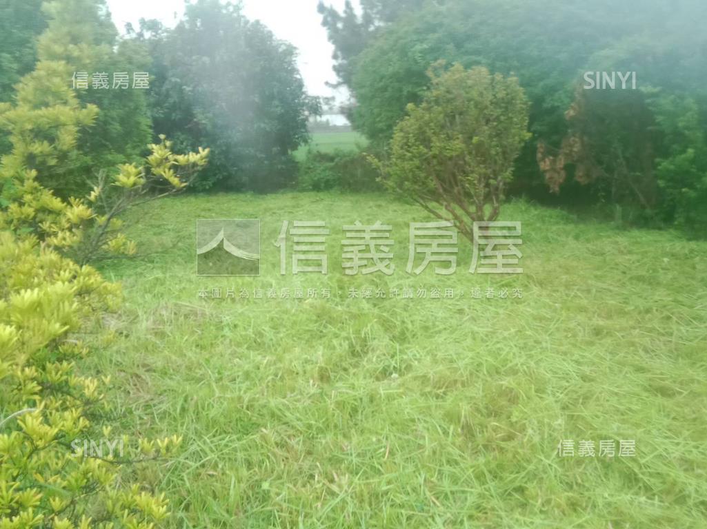 大村農牧用地房屋室內格局與周邊環境