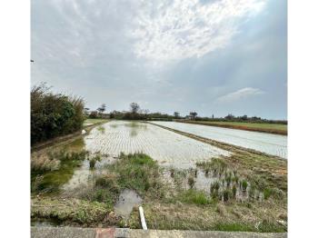 新屋下田心子段農地