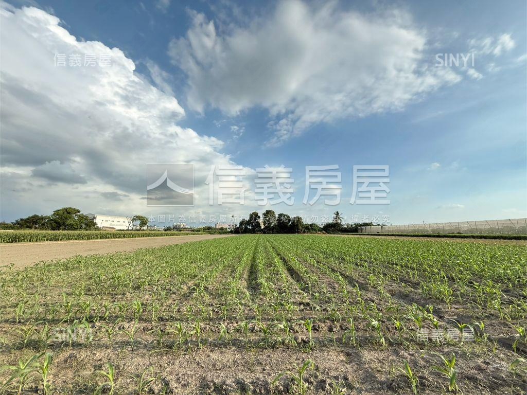 雲林虎尾台大旁千坪土地房屋室內格局與周邊環境