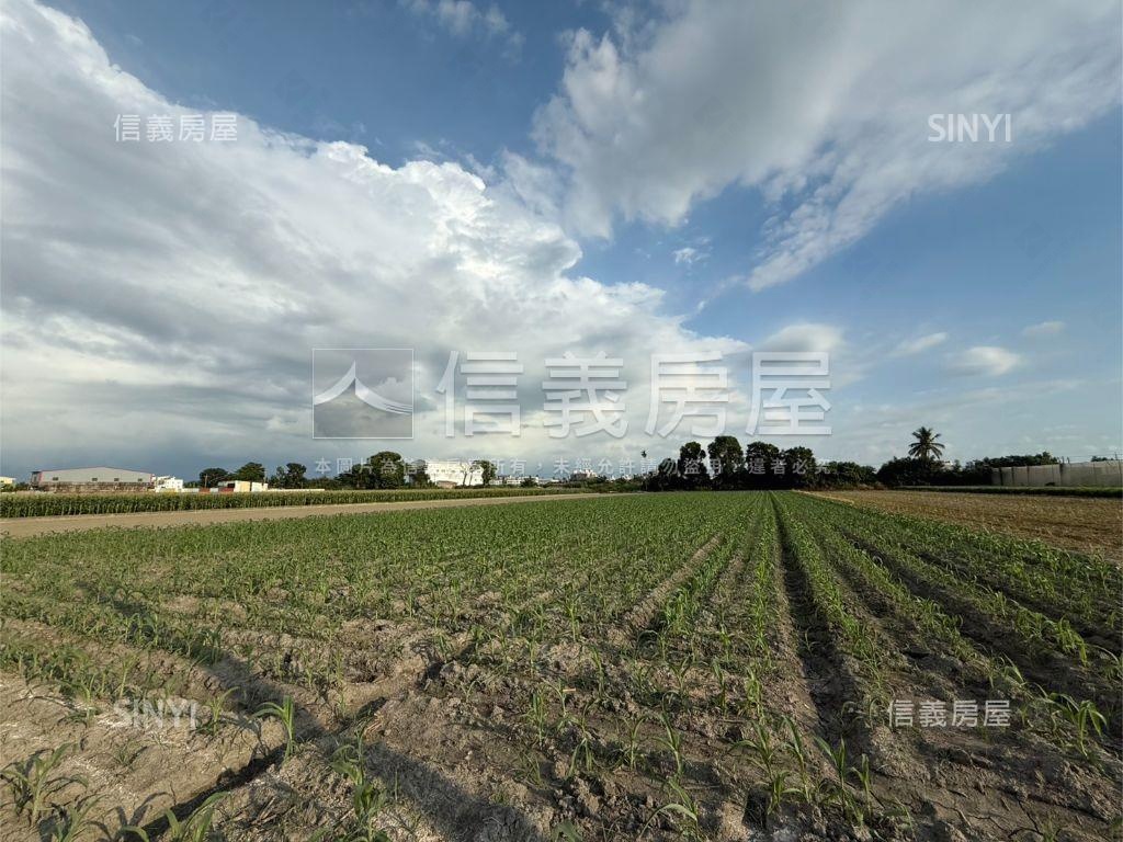 雲林虎尾台大旁千坪土地房屋室內格局與周邊環境
