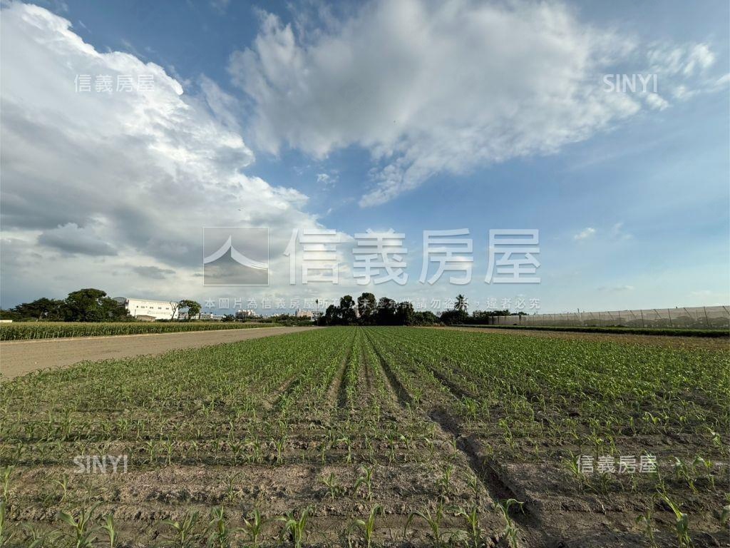 雲林虎尾台大旁千坪土地房屋室內格局與周邊環境