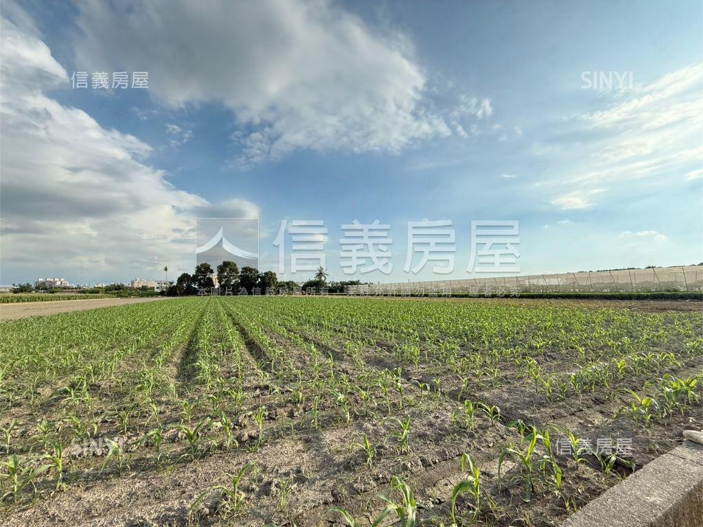 雲林虎尾台大旁千坪土地房屋室內格局與周邊環境