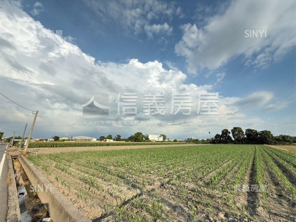 雲林虎尾台大旁千坪土地房屋室內格局與周邊環境