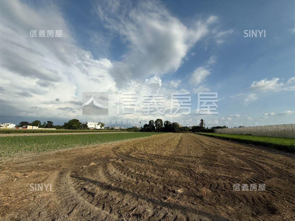 雲林虎尾台大旁千坪土地房屋室內格局與周邊環境
