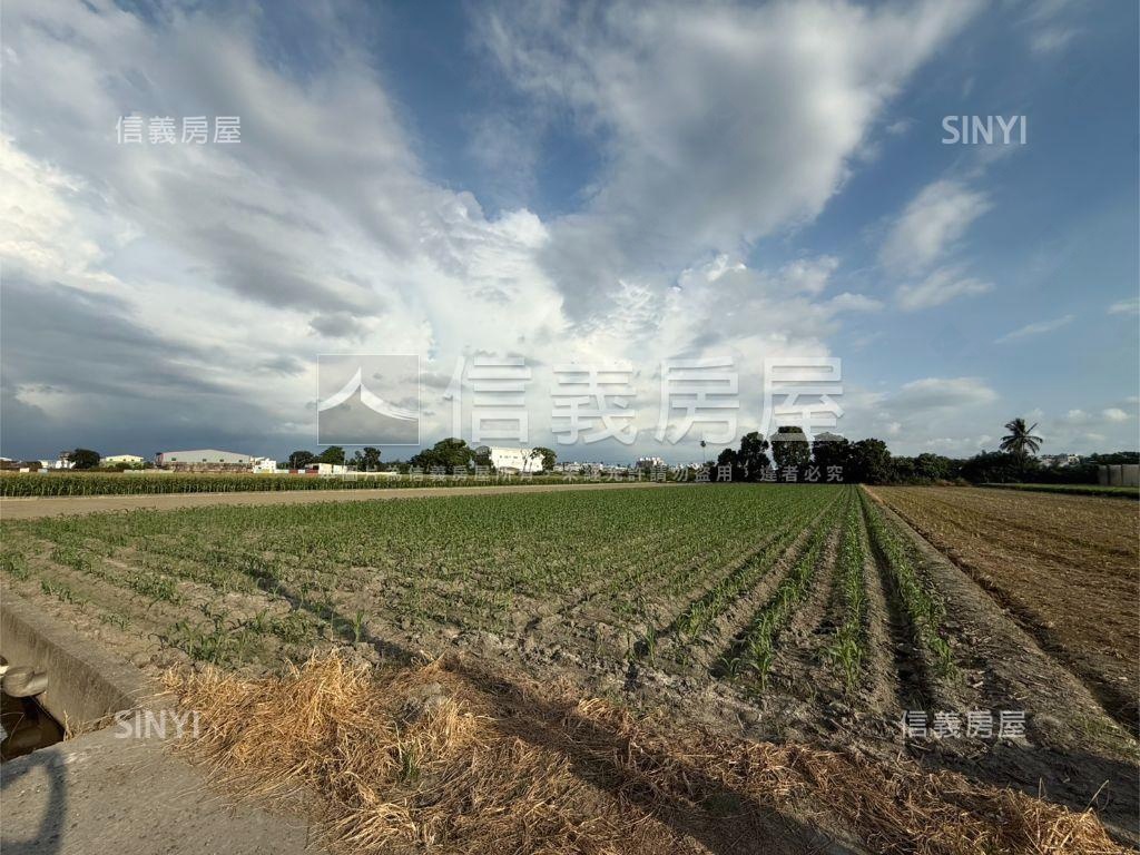 雲林虎尾台大旁千坪土地房屋室內格局與周邊環境