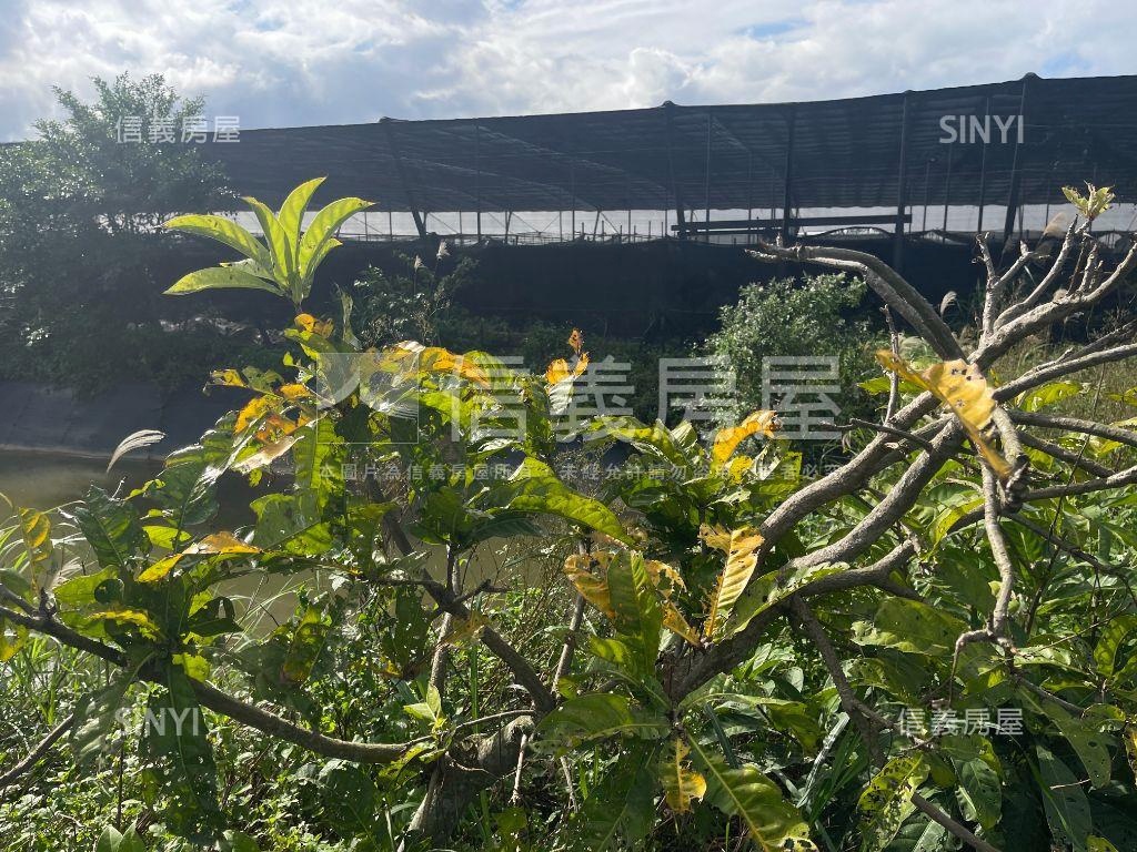 宜蘭土地約４００坪房屋室內格局與周邊環境