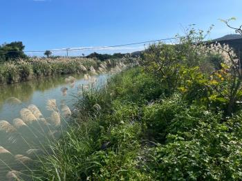 宜蘭土地約４００坪
