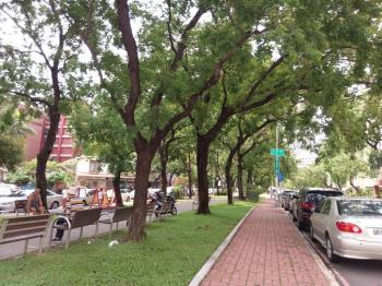 西區低總價園道美套房