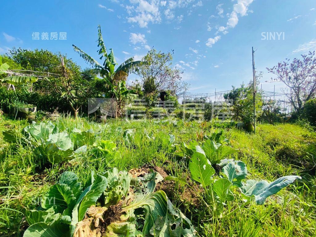 陽明山稀有土地房屋室內格局與周邊環境