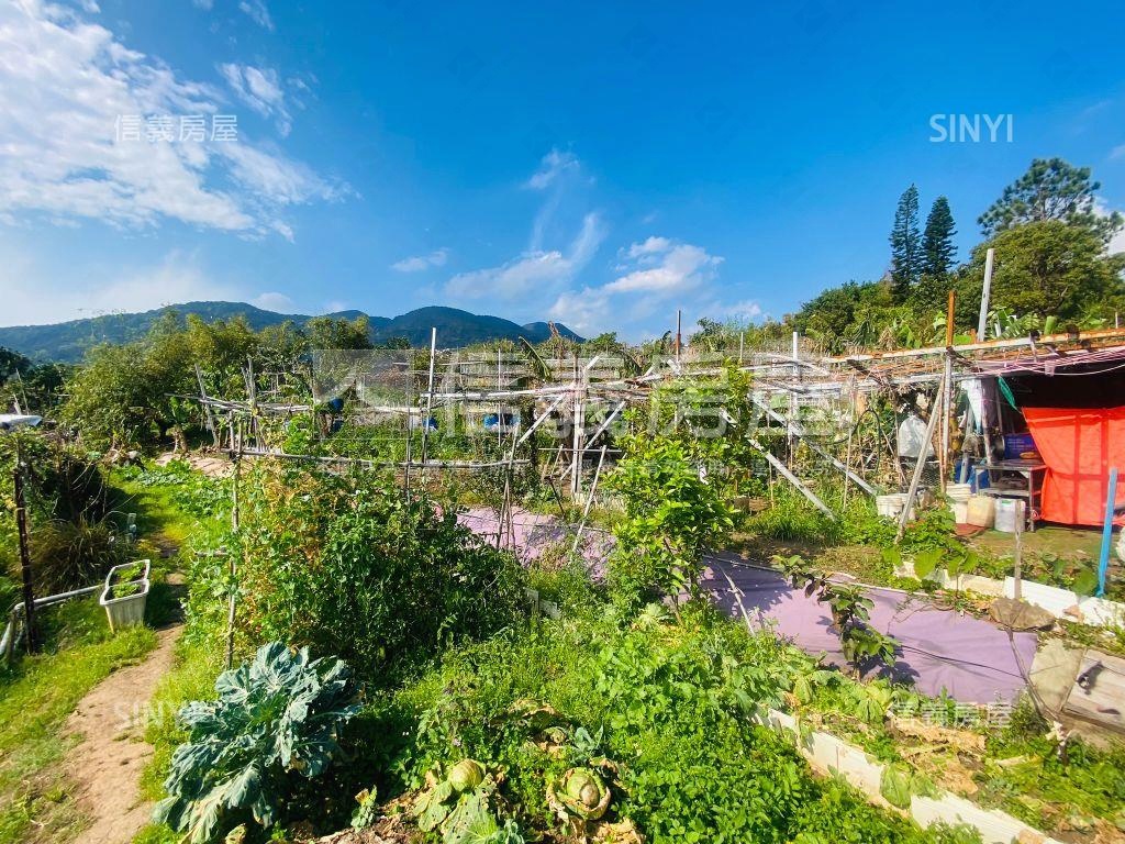 陽明山稀有土地房屋室內格局與周邊環境