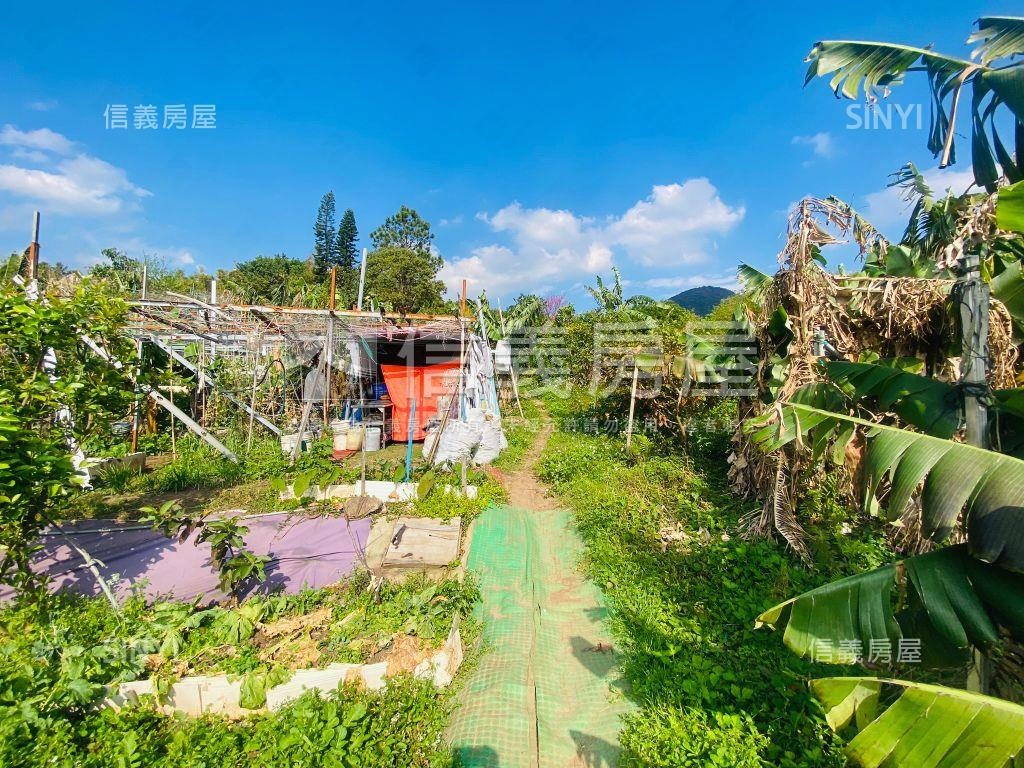 陽明山稀有土地房屋室內格局與周邊環境