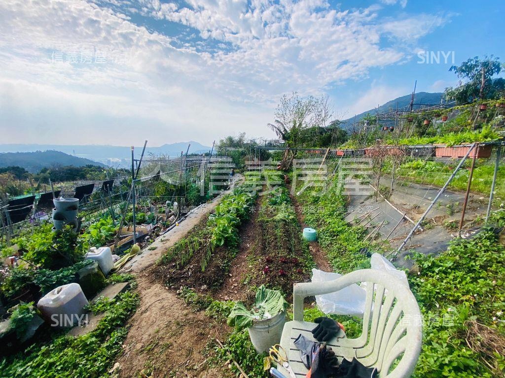 陽明山稀有土地房屋室內格局與周邊環境