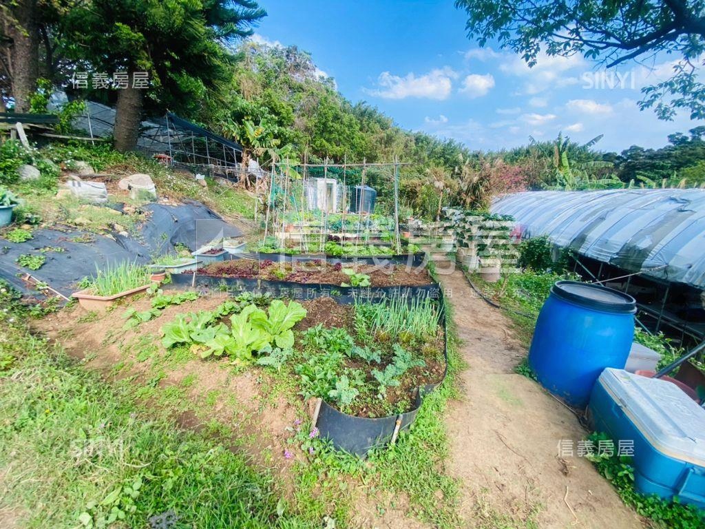陽明山稀有土地房屋室內格局與周邊環境