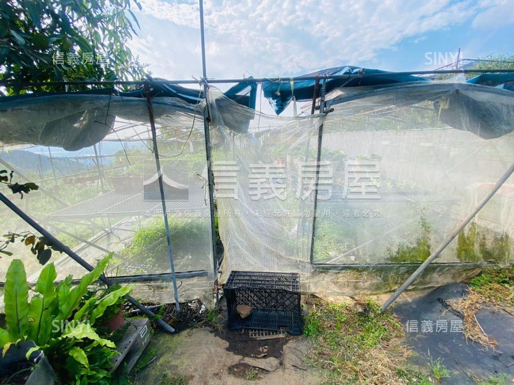 陽明山稀有土地房屋室內格局與周邊環境