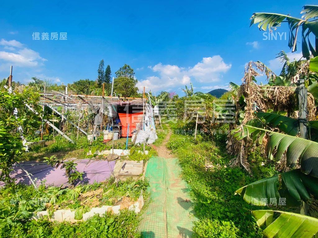 陽明山稀有土地房屋室內格局與周邊環境