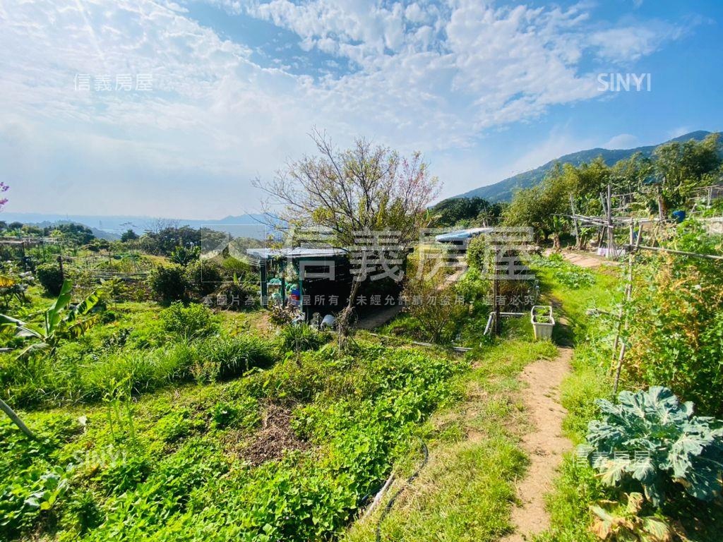 陽明山稀有土地房屋室內格局與周邊環境