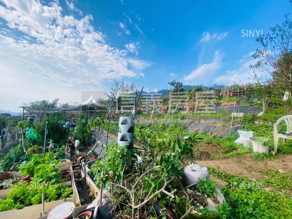 陽明山稀有土地房屋室內格局與周邊環境