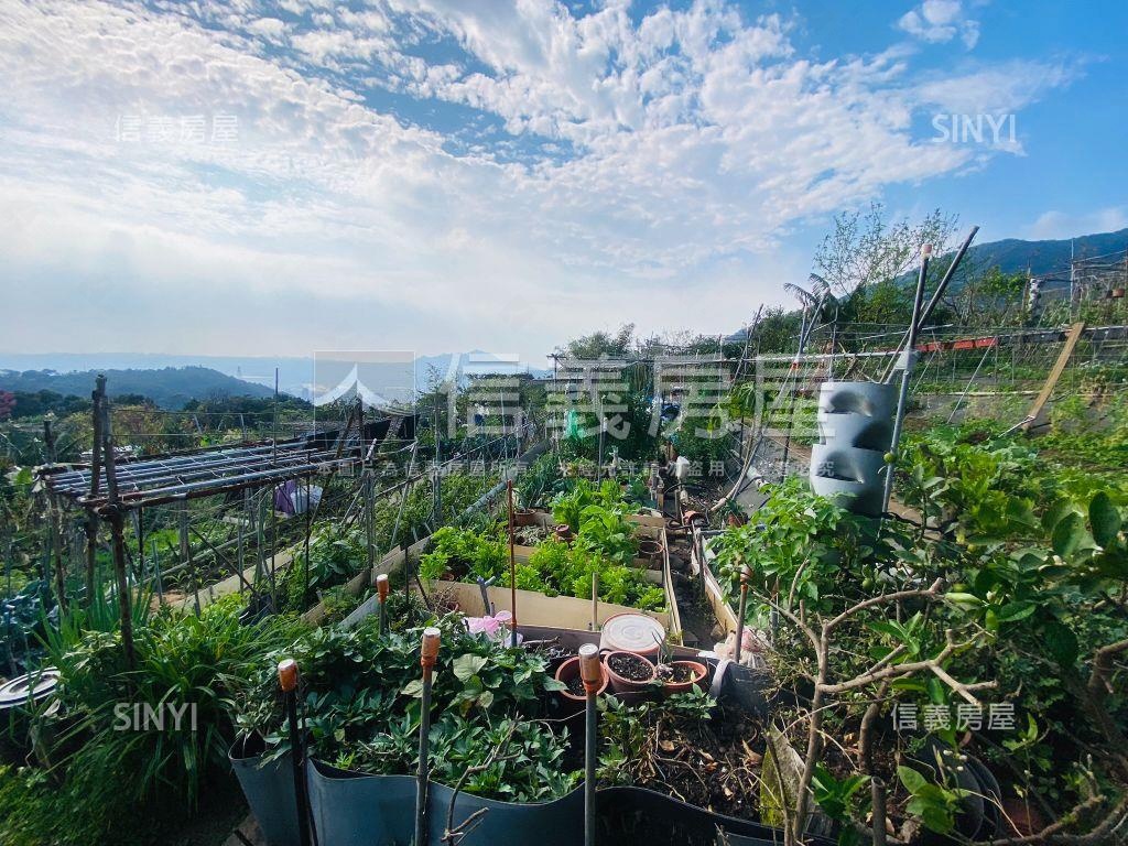 陽明山稀有土地房屋室內格局與周邊環境