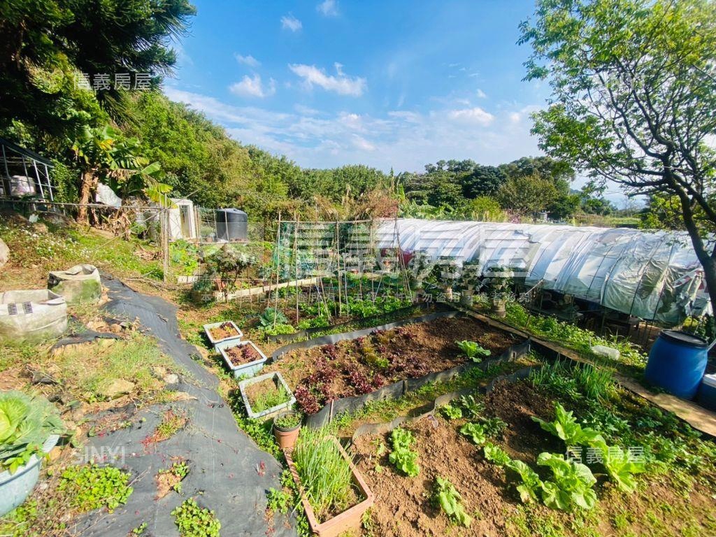 陽明山稀有土地房屋室內格局與周邊環境