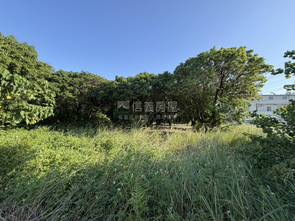 后豐鐵馬道旁臨路農地房屋室內格局與周邊環境