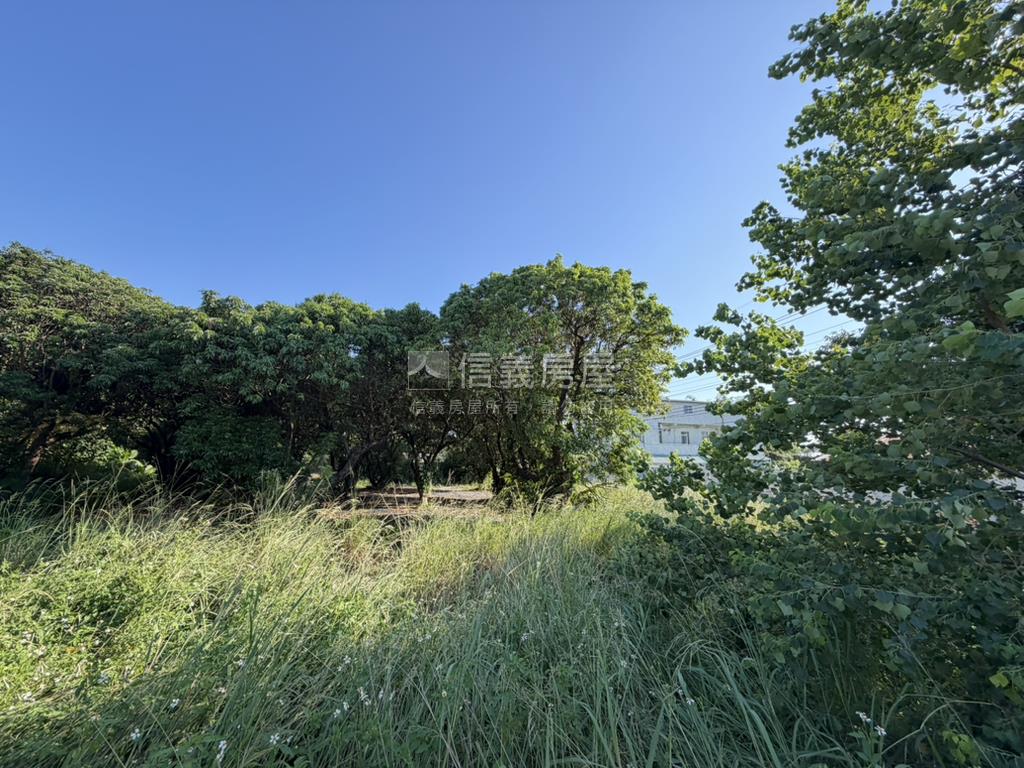 后豐鐵馬道旁臨路農地房屋室內格局與周邊環境