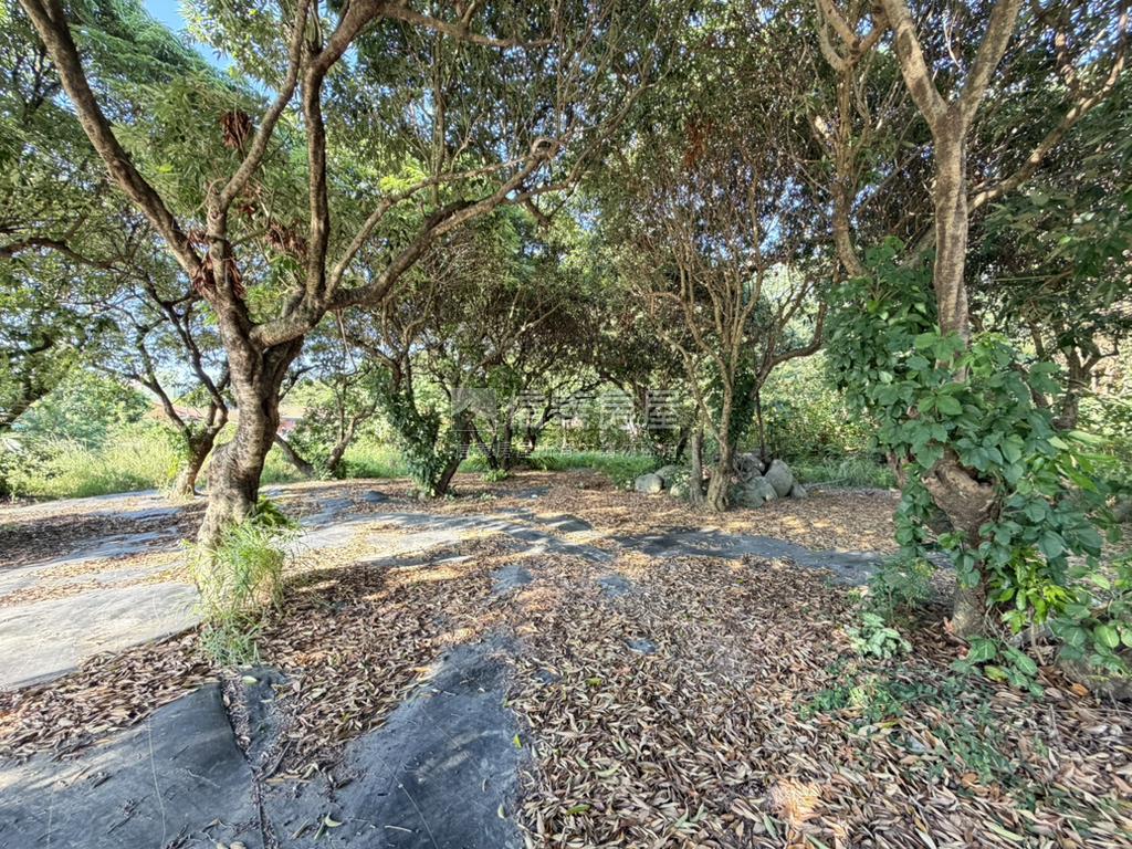 后豐鐵馬道旁臨路農地房屋室內格局與周邊環境