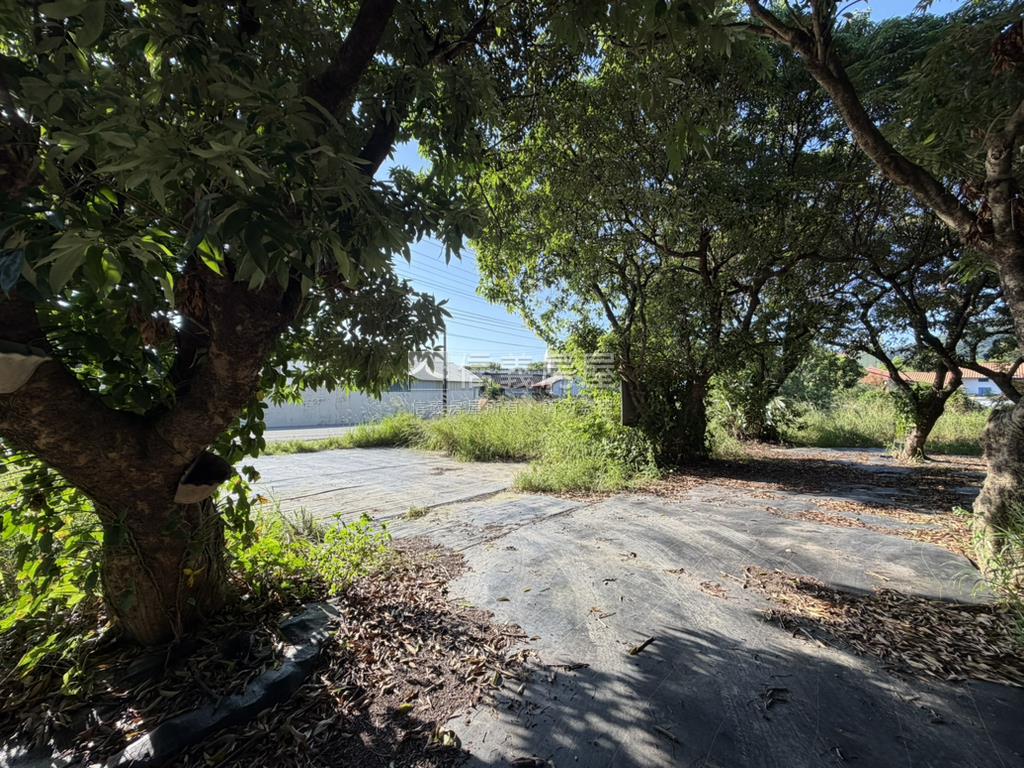 后豐鐵馬道旁臨路農地房屋室內格局與周邊環境