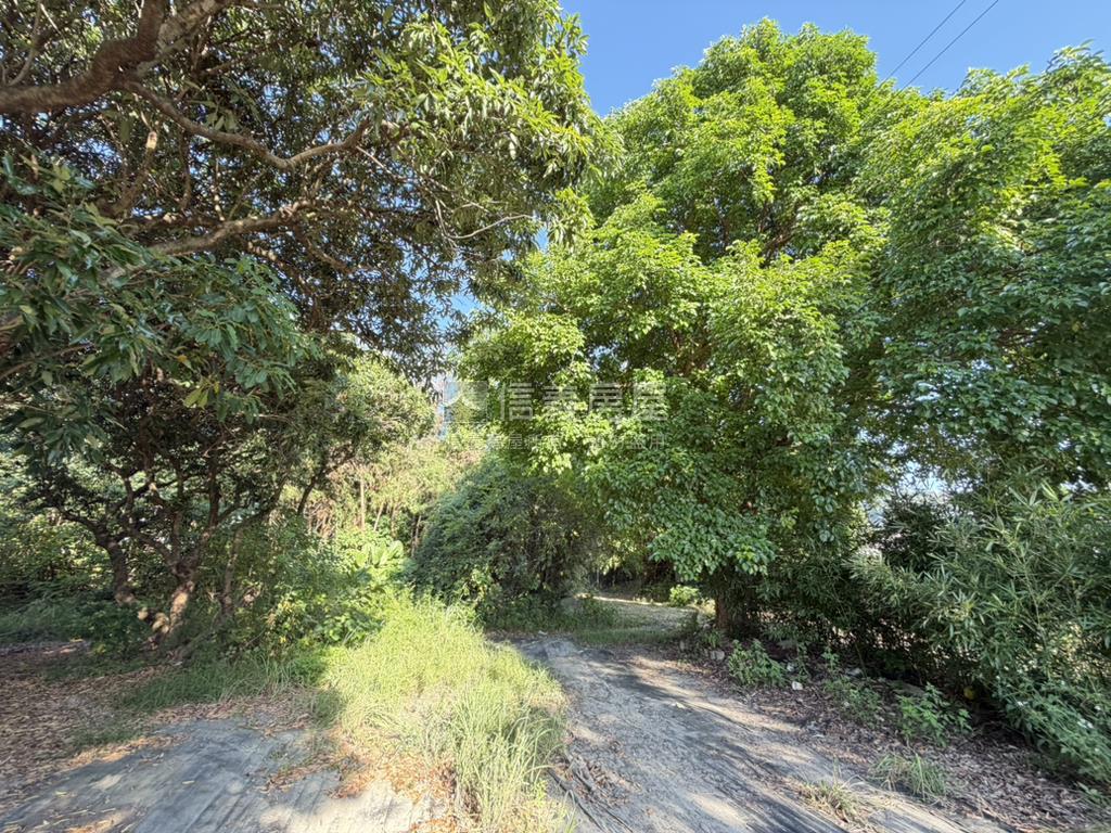 后豐鐵馬道旁臨路農地房屋室內格局與周邊環境
