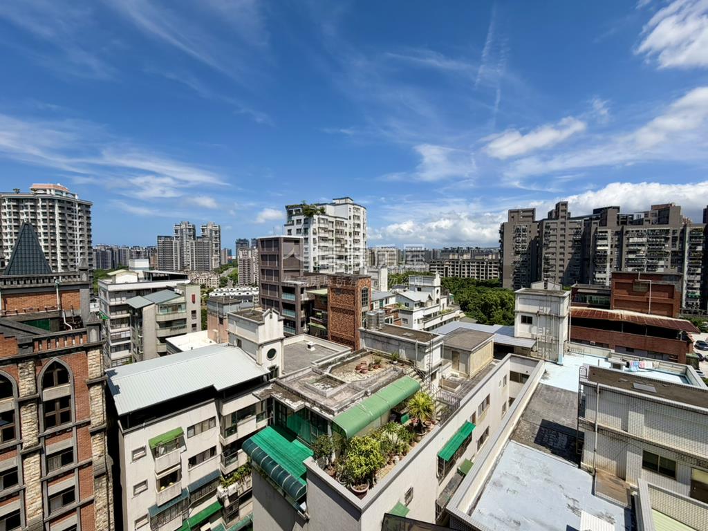天域稀有樓中樓大空間房屋室內格局與周邊環境