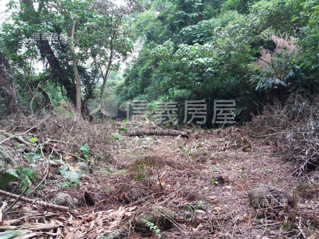 五股坑二段１９０坪土地房屋室內格局與周邊環境