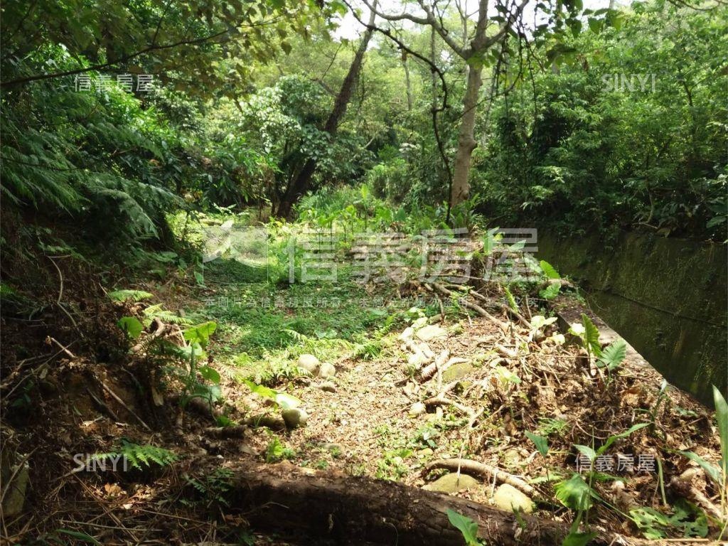 五股坑二段１９０坪土地房屋室內格局與周邊環境