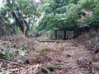 五股坑二段１９０坪土地