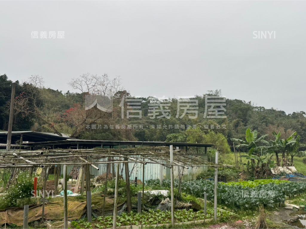 北山北峰段大土地房屋室內格局與周邊環境