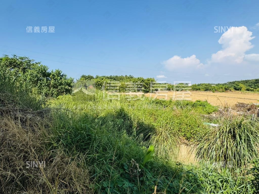 航空城二期未來可期房屋室內格局與周邊環境