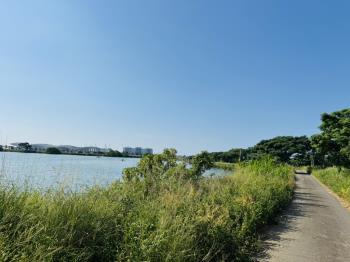 桃園航空城二期稀有潛力地