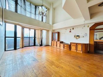 稀有樓中樓電梯大空間