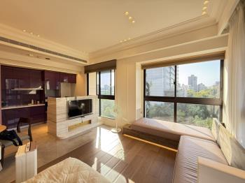 荷里居精美裝潢實小學區