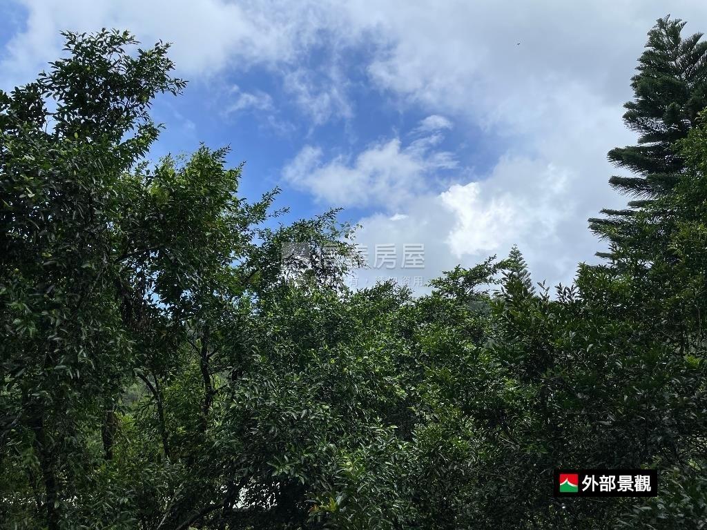 花園新城綠意美宅房屋室內格局與周邊環境