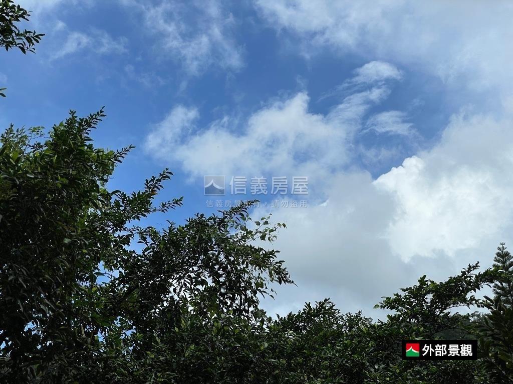 花園新城綠意美宅房屋室內格局與周邊環境