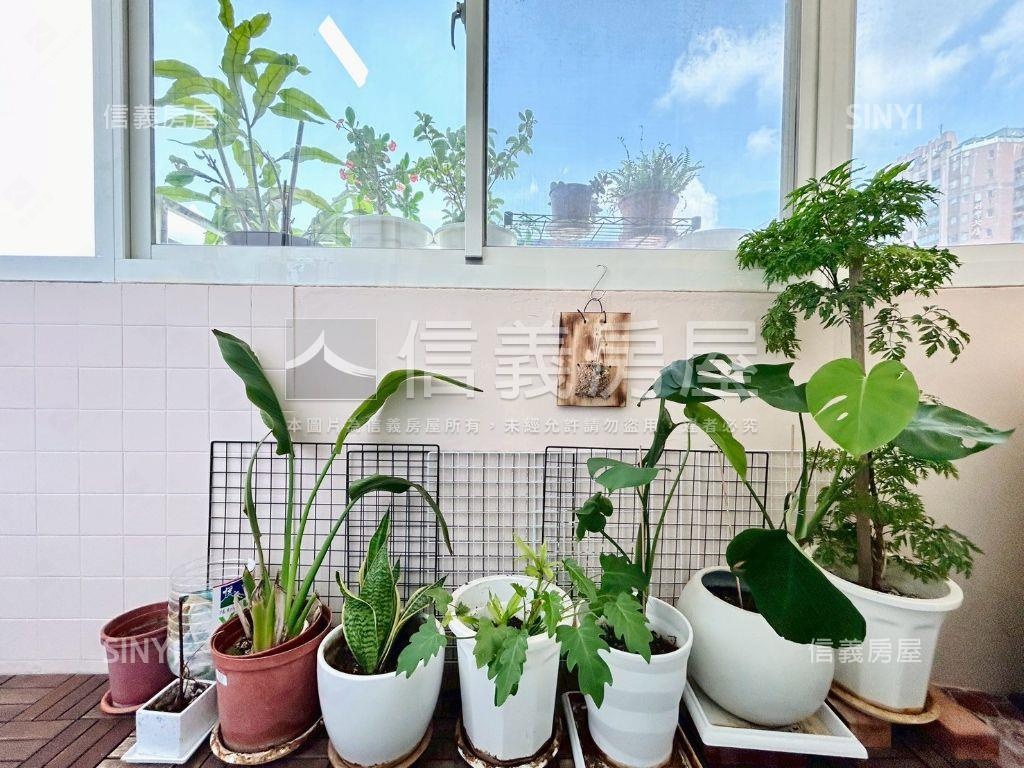 近中國醫綠園道小資兩房房屋室內格局與周邊環境