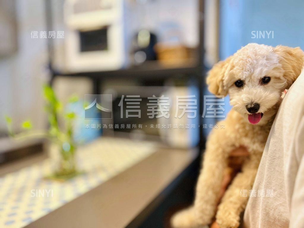 近中國醫綠園道小資兩房房屋室內格局與周邊環境