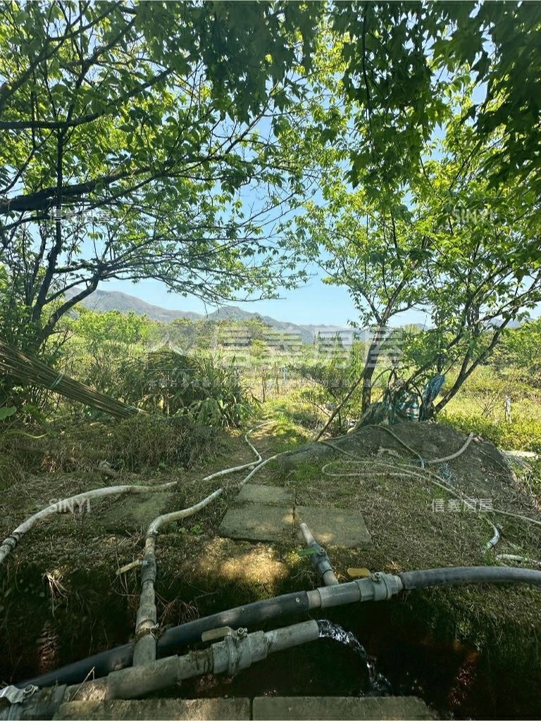 陽明山土地參房屋室內格局與周邊環境