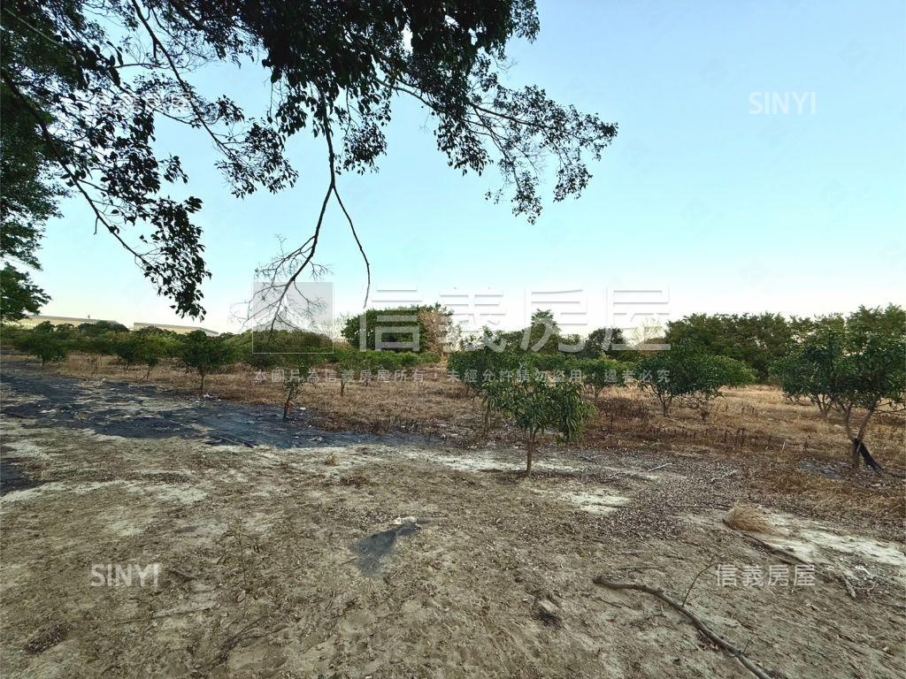 南屯嶺東農地房屋室內格局與周邊環境