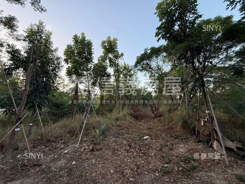 南屯嶺東農地房屋室內格局與周邊環境