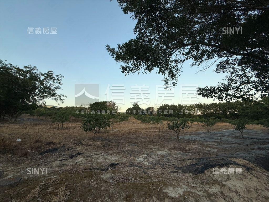 南屯嶺東農地房屋室內格局與周邊環境