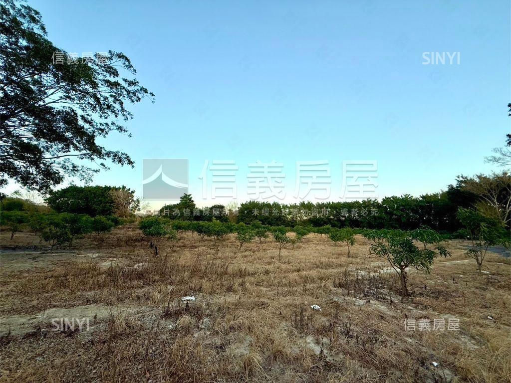 南屯嶺東農地房屋室內格局與周邊環境